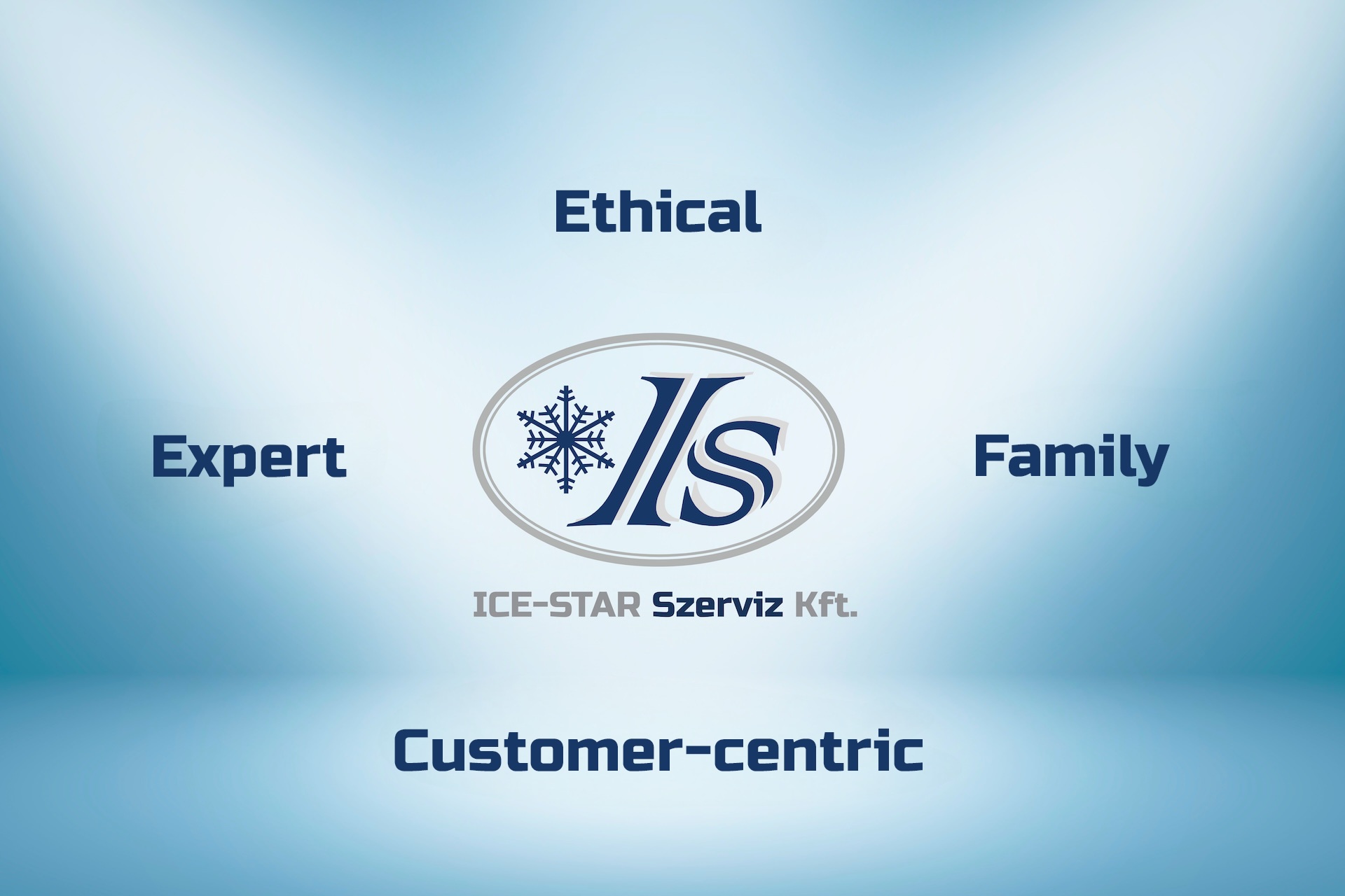 ICE-STAR Kft. alapértékei